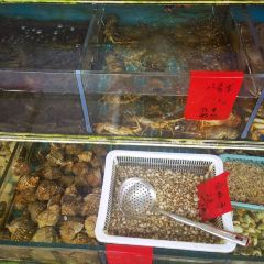 金海湾海鲜排档(朱家尖店) User Photo