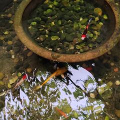 A YI SHI TANG 여행 사진