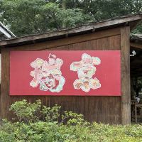 評論圖片 8