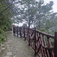 評論圖片 2