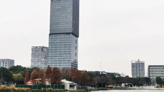 远香湖公园位于嘉定新城核心景观内，提供免费的儿童乐园设施，周