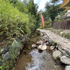 湖州野界森林度假酒店·野界.溶洞餐厅 User Photo