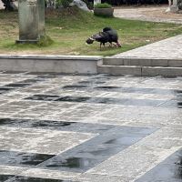 評論圖片 2