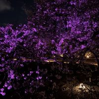 評論圖片 3