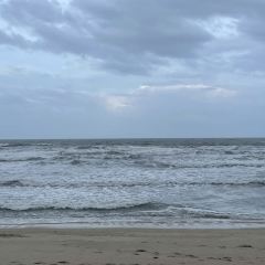 花海全海景海鮮餐廳·愛與花的世界（巽寮店）張用戶圖片