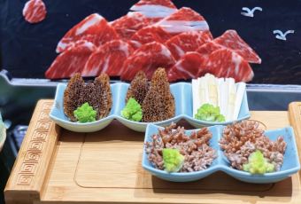 SONG FENG YA YAN User Photo