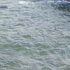 望海阁·海鲜舫(万平口景区店) User Photo