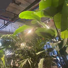 八种野菌(南华店) 여행 사진