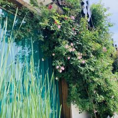 春秋十里 User Photo