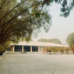 Green T. House 여행 사진