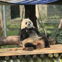 評論圖片 3
