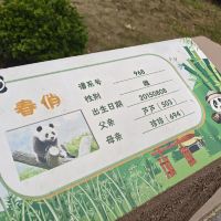 評論圖片 6