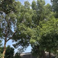 評論圖片 4