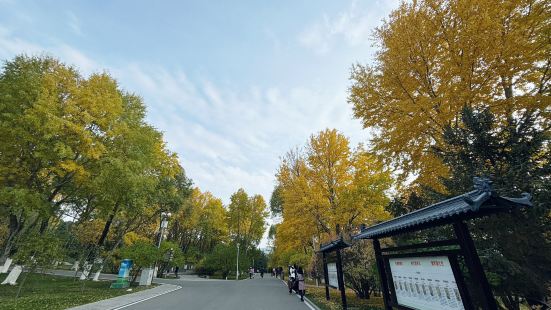 晚上9點的火車去西藏，中午吃完飯不知道該去哪裡，就搜了免費景