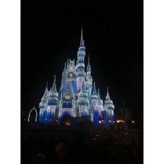 Bluefrog (Disney Town) User Photo