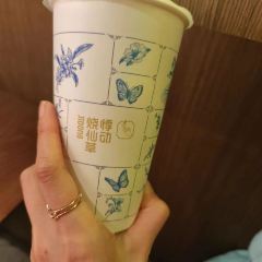 书亦烧仙草 User Photo