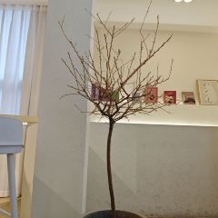 Rosy Wylie(甜品店) User Photo