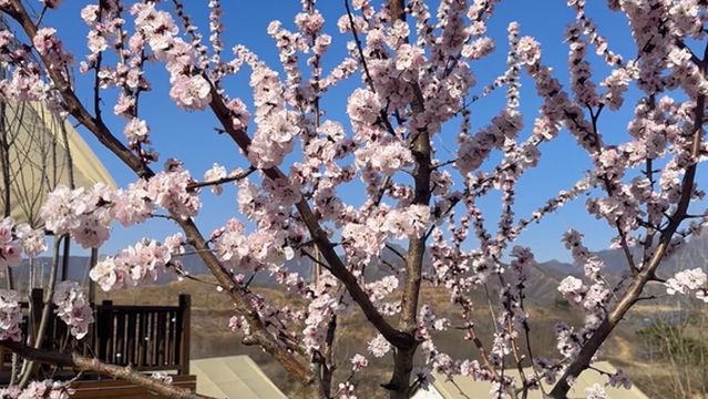 51CAMP平泉湖四季湖光营地