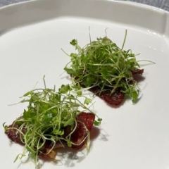 Everlasting Happiness User Photo