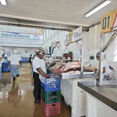 Mercado del Marisco User Photo