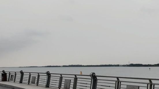 网红打卡地～青浦区的彩虹桥。因为住在附近的东方绿舟度假村，所
