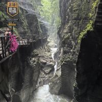 評論圖片 6