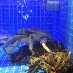 葛源传说(世纪城店) User Photo