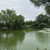 評論圖片 4