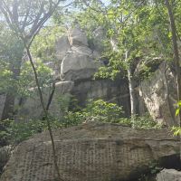 評論圖片 8