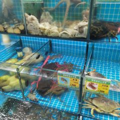 金潮饭店(普陀山店) User Photo