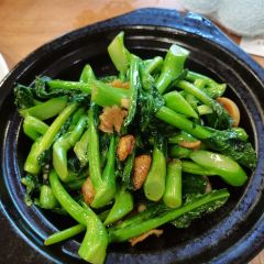 Beidouxinghebeicai (tianwei) User Photo