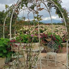 听花谷餐厅 User Photo