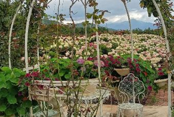 听花谷餐厅 User Photo