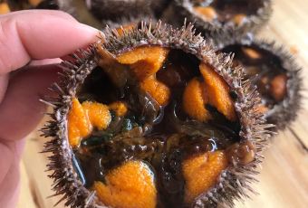 Nan Shan Xiao Yu Cun User Photo