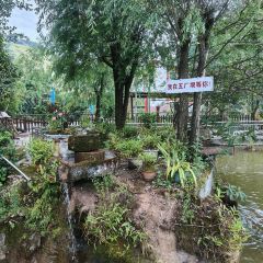 五厂坝休闲农庄 User Photo