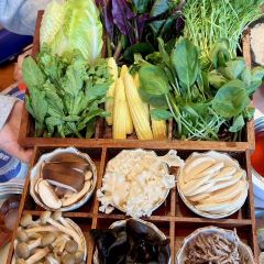 43°9 LAMB HOT POT User Photo