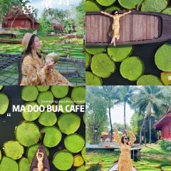 Ma Doo Bua User Photo