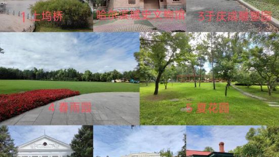 1964年，太阳岛风景区正式成立，1989年被命名为黑龙江省