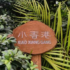 Green Agriculture Ecological Park User Photo