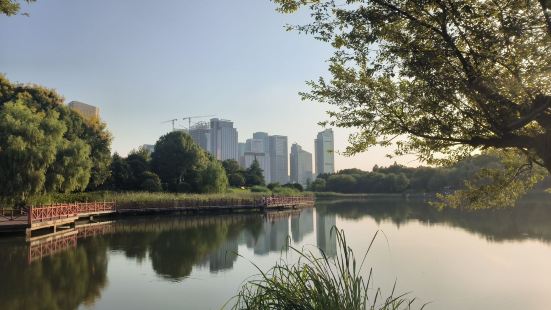 很漂亮的城市湿地公园，就在义乌国际商贸城附近