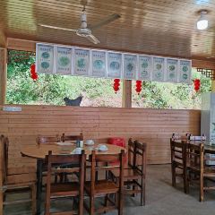 农民菜馆(洞天仙境店) User Photo