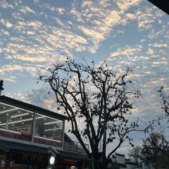 婺源婺女洲度假区故园里酒店·水上餐厅 User Photo