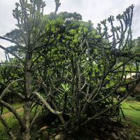 評論圖片 7