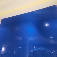 三亞亞龍灣迎賓館·海洋主題海藍餐廳張用戶圖片