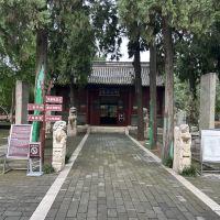 評論圖片 7