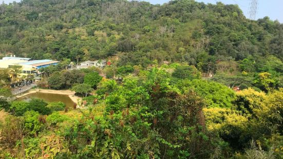 深圳铁仔山公园占地面积共127公顷，高处海拔204米。​不仅