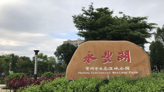 Yongfeng Lake Wetland Park