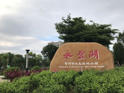 Yongfeng Lake Wetland Park