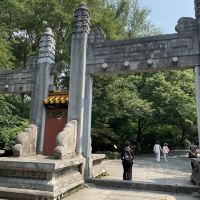 評論圖片 5