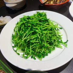 Hecheng LU GAO JIAN User Photo